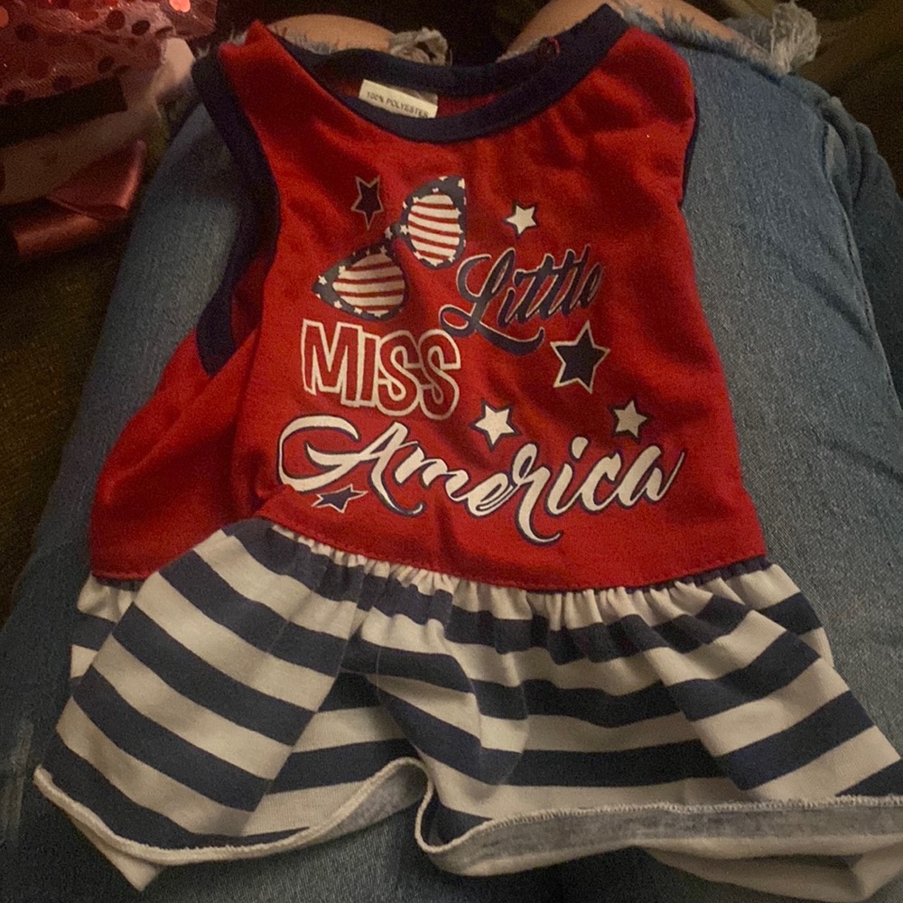 Little miss America dog dress for small dog